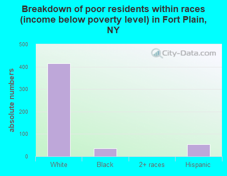 Breakdown of poor residents within races (income below poverty level) in Fort Plain, NY