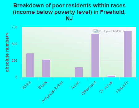 Breakdown of poor residents within races (income below poverty level) in Freehold, NJ