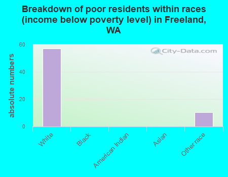 Breakdown of poor residents within races (income below poverty level) in Freeland, WA