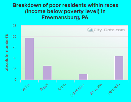 Breakdown of poor residents within races (income below poverty level) in Freemansburg, PA