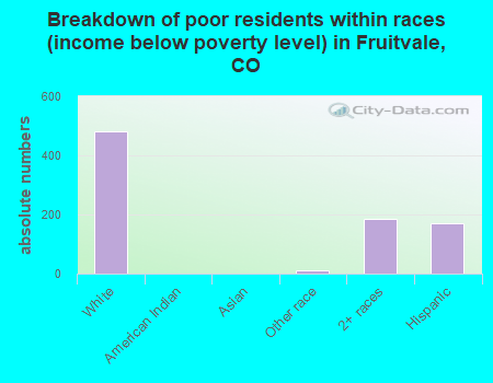 Breakdown of poor residents within races (income below poverty level) in Fruitvale, CO