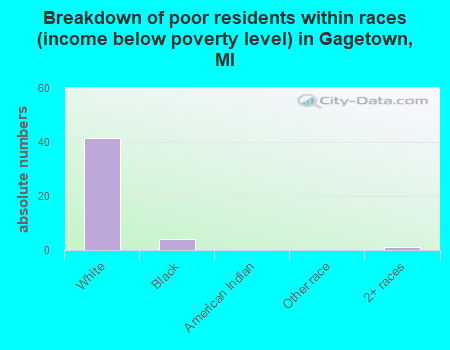 Breakdown of poor residents within races (income below poverty level) in Gagetown, MI