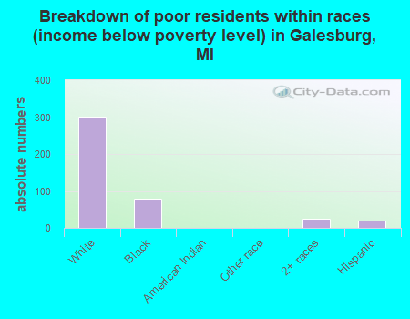 Breakdown of poor residents within races (income below poverty level) in Galesburg, MI