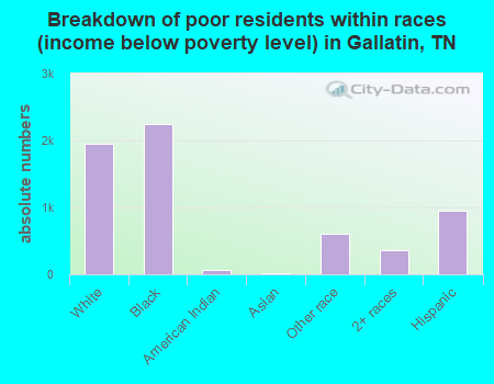 Breakdown of poor residents within races (income below poverty level) in Gallatin, TN
