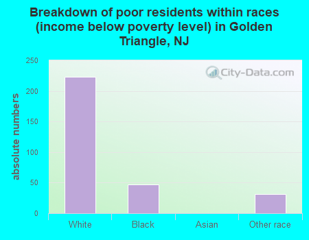 Breakdown of poor residents within races (income below poverty level) in Golden Triangle, NJ