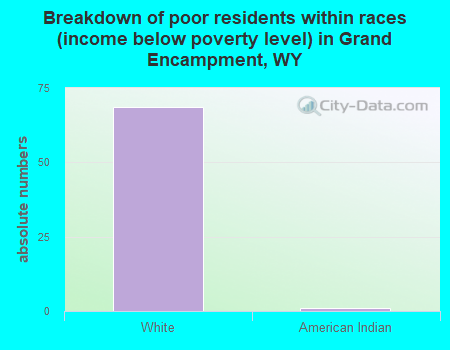 Breakdown of poor residents within races (income below poverty level) in Grand Encampment, WY