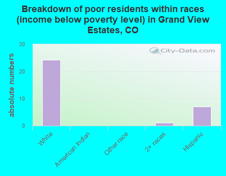 Breakdown of poor residents within races (income below poverty level) in Grand View Estates, CO