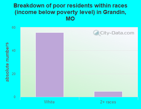 Breakdown of poor residents within races (income below poverty level) in Grandin, MO