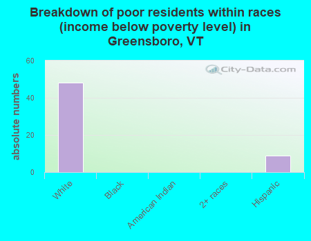 Breakdown of poor residents within races (income below poverty level) in Greensboro, VT