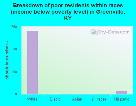 Breakdown of poor residents within races (income below poverty level) in Greenville, KY