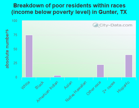 Breakdown of poor residents within races (income below poverty level) in Gunter, TX
