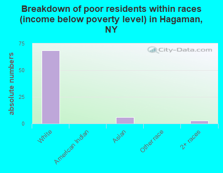 Breakdown of poor residents within races (income below poverty level) in Hagaman, NY