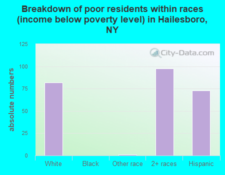 Breakdown of poor residents within races (income below poverty level) in Hailesboro, NY