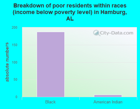 Breakdown of poor residents within races (income below poverty level) in Hamburg, AL