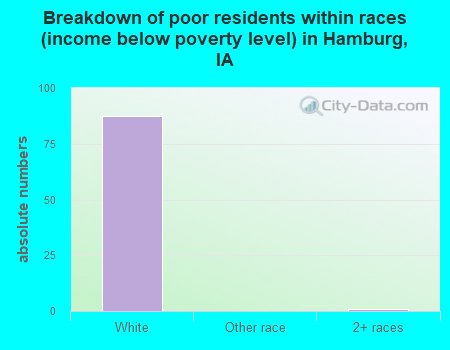 Breakdown of poor residents within races (income below poverty level) in Hamburg, IA