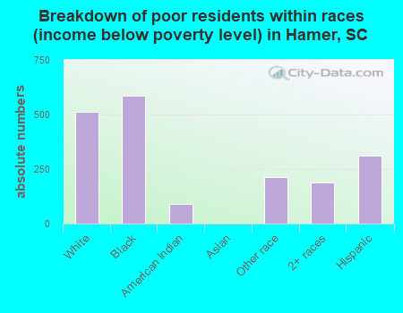 Breakdown of poor residents within races (income below poverty level) in Hamer, SC