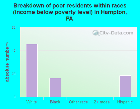 Breakdown of poor residents within races (income below poverty level) in Hampton, PA