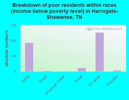 Breakdown of poor residents within races (income below poverty level) in Harrogate-Shawanee, TN