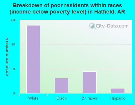 Breakdown of poor residents within races (income below poverty level) in Hatfield, AR