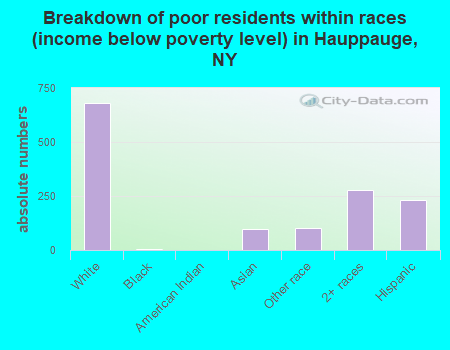 Breakdown of poor residents within races (income below poverty level) in Hauppauge, NY