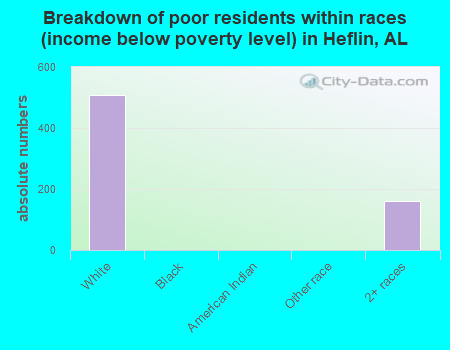 Breakdown of poor residents within races (income below poverty level) in Heflin, AL