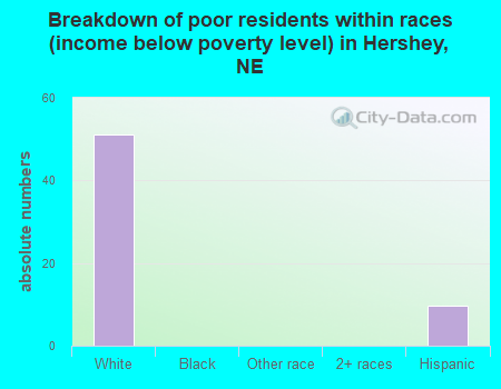 Breakdown of poor residents within races (income below poverty level) in Hershey, NE