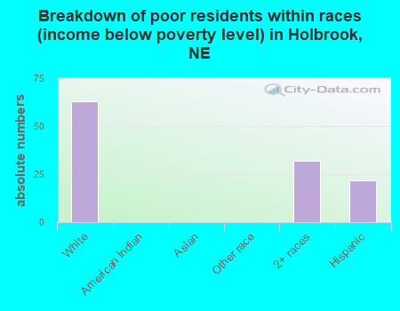 Breakdown of poor residents within races (income below poverty level) in Holbrook, NE