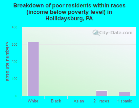 Breakdown of poor residents within races (income below poverty level) in Hollidaysburg, PA