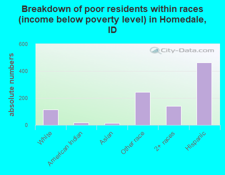 Breakdown of poor residents within races (income below poverty level) in Homedale, ID