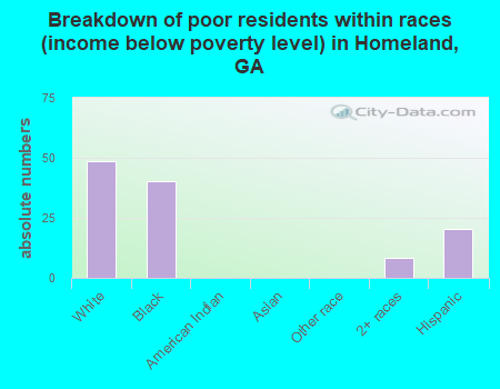 Breakdown of poor residents within races (income below poverty level) in Homeland, GA