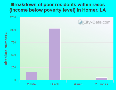 Breakdown of poor residents within races (income below poverty level) in Homer, LA
