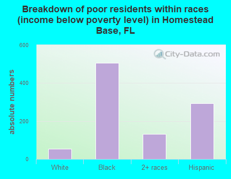 Breakdown of poor residents within races (income below poverty level) in Homestead Base, FL