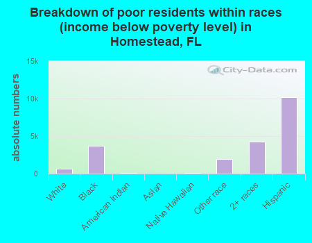 Breakdown of poor residents within races (income below poverty level) in Homestead, FL