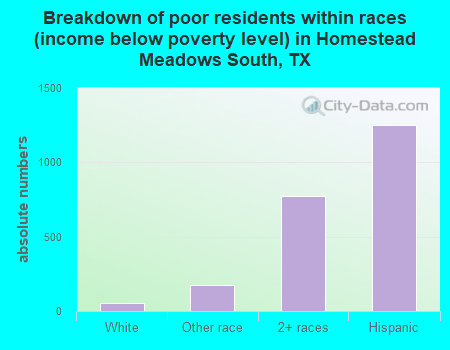 Breakdown of poor residents within races (income below poverty level) in Homestead Meadows South, TX