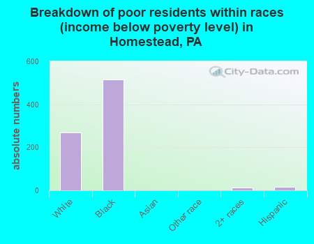 Breakdown of poor residents within races (income below poverty level) in Homestead, PA