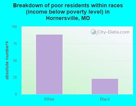 Breakdown of poor residents within races (income below poverty level) in Hornersville, MO