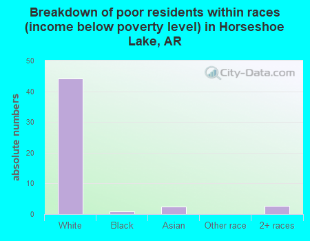 Breakdown of poor residents within races (income below poverty level) in Horseshoe Lake, AR