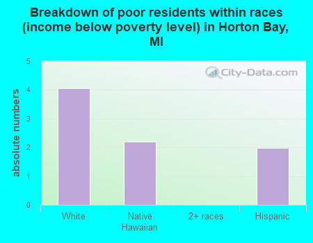 Breakdown of poor residents within races (income below poverty level) in Horton Bay, MI