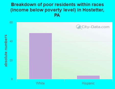 Breakdown of poor residents within races (income below poverty level) in Hostetter, PA