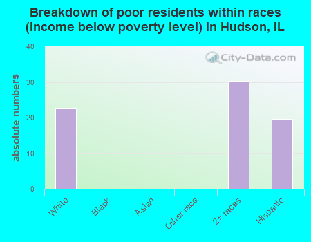 Breakdown of poor residents within races (income below poverty level) in Hudson, IL