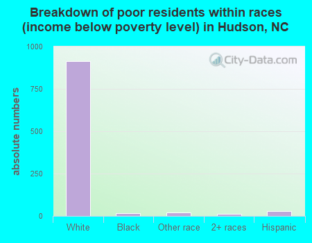 Breakdown of poor residents within races (income below poverty level) in Hudson, NC