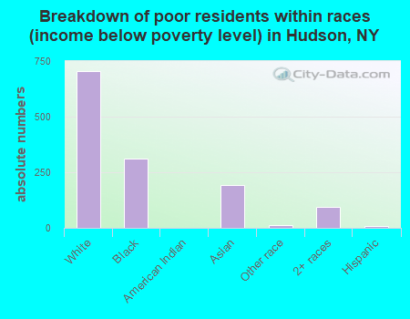 Breakdown of poor residents within races (income below poverty level) in Hudson, NY