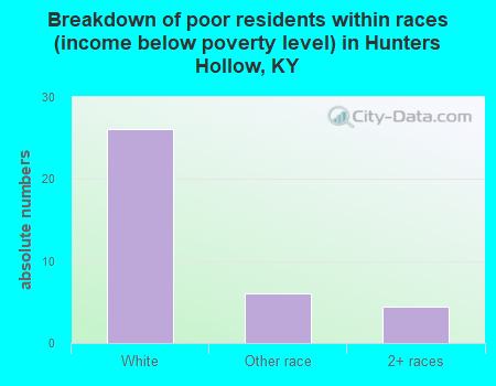 Breakdown of poor residents within races (income below poverty level) in Hunters Hollow, KY