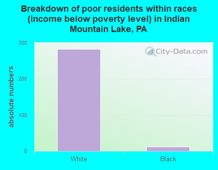Breakdown of poor residents within races (income below poverty level) in Indian Mountain Lake, PA