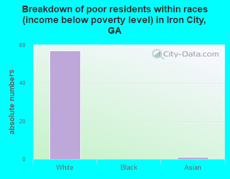 Breakdown of poor residents within races (income below poverty level) in Iron City, GA