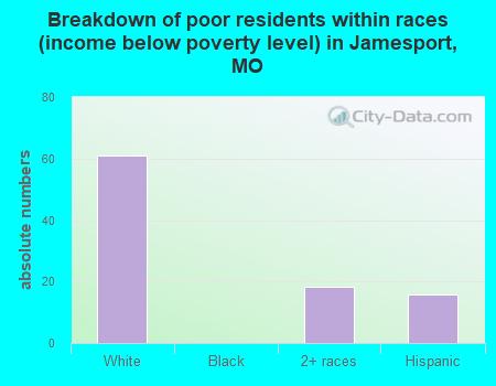 Breakdown of poor residents within races (income below poverty level) in Jamesport, MO