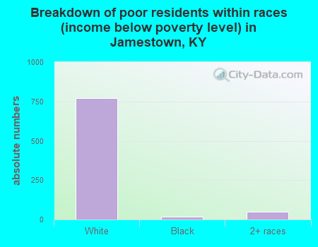 Breakdown of poor residents within races (income below poverty level) in Jamestown, KY