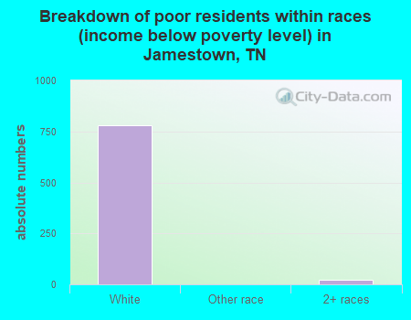 Breakdown of poor residents within races (income below poverty level) in Jamestown, TN