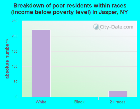 Breakdown of poor residents within races (income below poverty level) in Jasper, NY