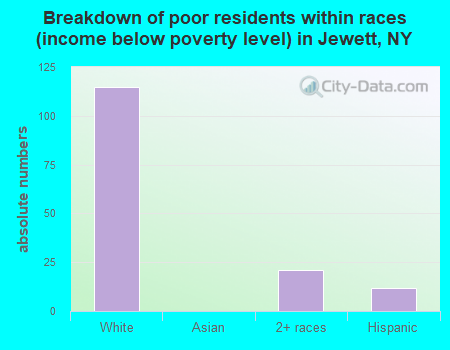 Breakdown of poor residents within races (income below poverty level) in Jewett, NY